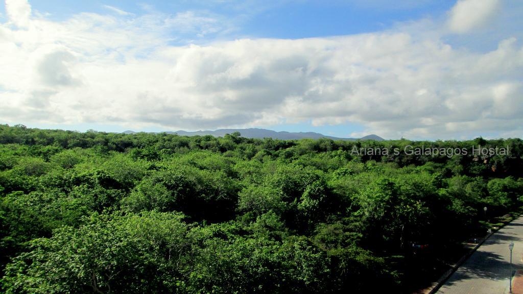 Ariana'S Galapagos Hostal ปูแอร์โตอาโยรา ภายนอก รูปภาพ